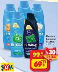 BLENDAX ŞAMPUAN 500 ML ÇEŞİTLERİ